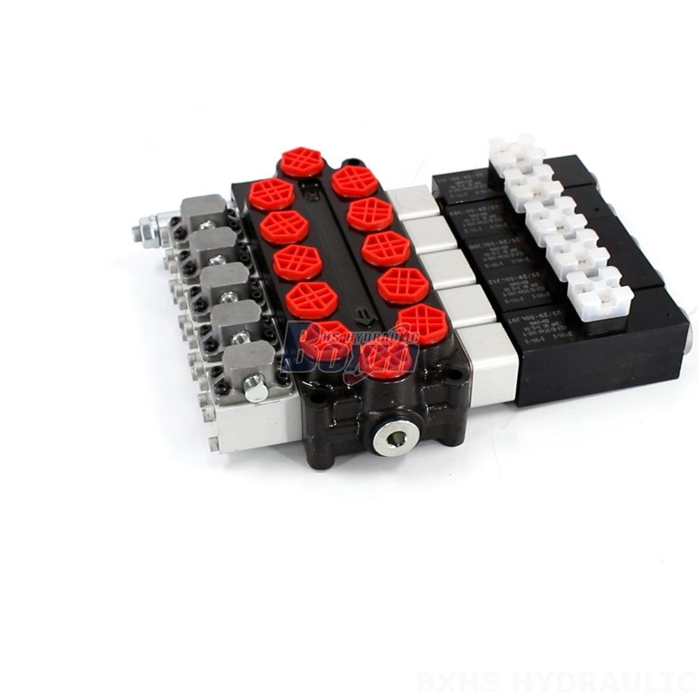 Durable Q45 5 Spool Monoblock Directional Valve for Hydraulic Systems main image